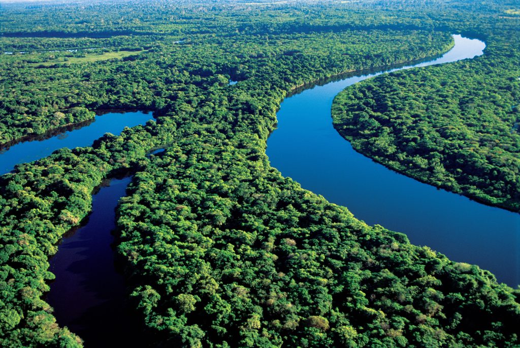 Luftaufnahme des Amazonas, der sich in weiten Schleifen durch den tropischen Regenwald der Region Loreto in Peru windet. Das dunkelblaue Wasser bildet einen deutlichen Kontrast zum dichten, sattgrünen Blätterdach. Bis zum Horizont erstreckt sich nahezu ununterbrochener Regenwald ohne sichtbare Siedlungen oder Straßen.