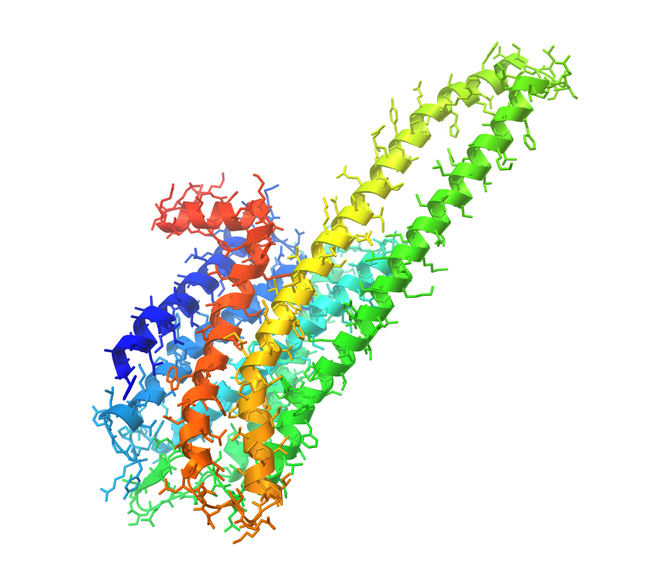 Computergenerierte dreidimensionale Darstellung des 5-HT2A-Rezeptors mit farblich hervorgehobenen Alpha-Helices in Blau, Rot, Gelb und Grün. Das Modell veranschaulicht die räumliche Struktur des Serotoninrezeptors, der unter anderem an der Signalübertragung im Gehirn beteiligt ist.