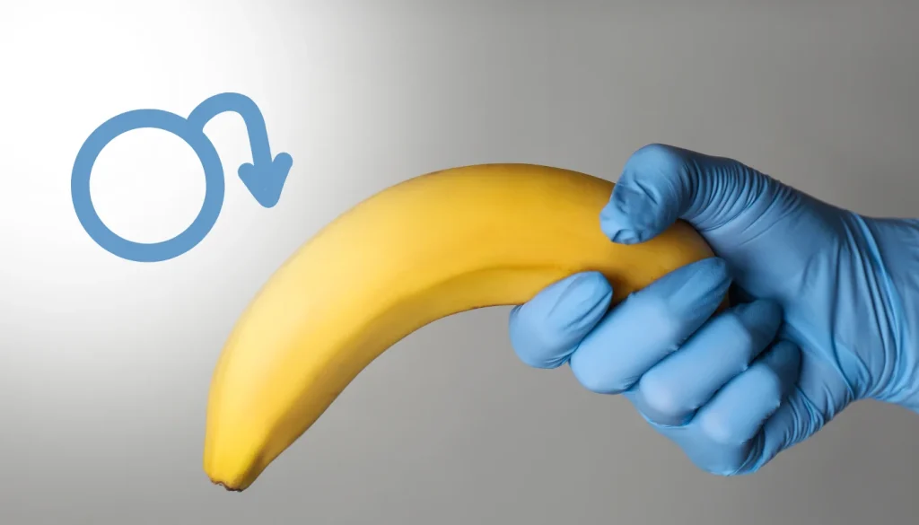 Eine mit einem blauen Einweghandschuh geschützte Hand hält eine gebogene gelbe Banane. Links daneben befindet sich ein blaues Symbol mit einem kreisförmigen Pfeil nach unten, das eine nachlassende oder verminderte Funktion symbolisiert. Das Bild wird häufig als symbolische Darstellung von Erektionsstörungen oder erektiler Dysfunktion verwendet.
