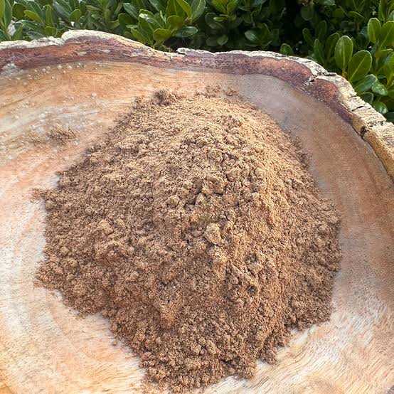 Fein gemahlenes Clavo-Huasca-Pulver in einer flachen Holzschale. Das hellbraune Pflanzenpulver ist zu einem kleinen Haufen aufgeschüttet, im Hintergrund befinden sich grüne Blätter.