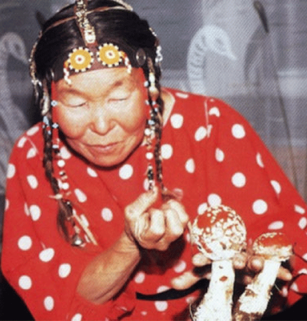 Samische Schamanin in traditioneller Kleidung mit rotem, weiß gepunktetem Gewand und verziertem Kopfschmuck hält zwei Fliegenpilze in den Händen. Die Augen sind geschlossen, der Blick ist nach unten gerichtet.