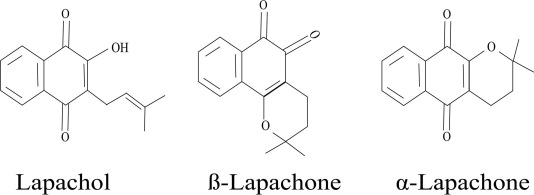 Chemische Strukturformeln der Lapacho-Inhaltsstoffe Lapachol, β-Lapachon und α-Lapachon.