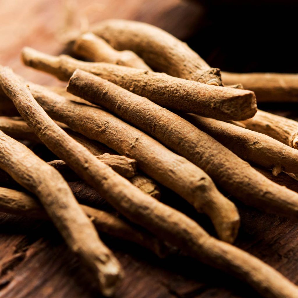 Getrocknete Ashwagandha-Wurzeln (Withania somnifera) als Rohstoff für Nahrungsergänzungsmittel und traditionelle Pflanzenheilkunde.