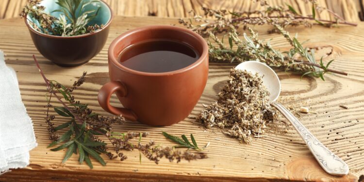 Beifußtee aus getrocknetem Gemeinem Beifuß (Artemisia vulgaris) in einer Tasse mit frischem und getrocknetem Kraut.