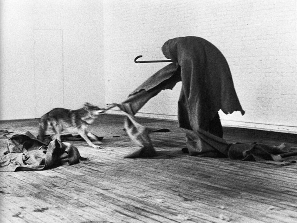 oseph Beuys bei der Performance I Like America and America Likes Me (1974), in Filz gehüllt mit einem Kojoten in einem Galerieraum.