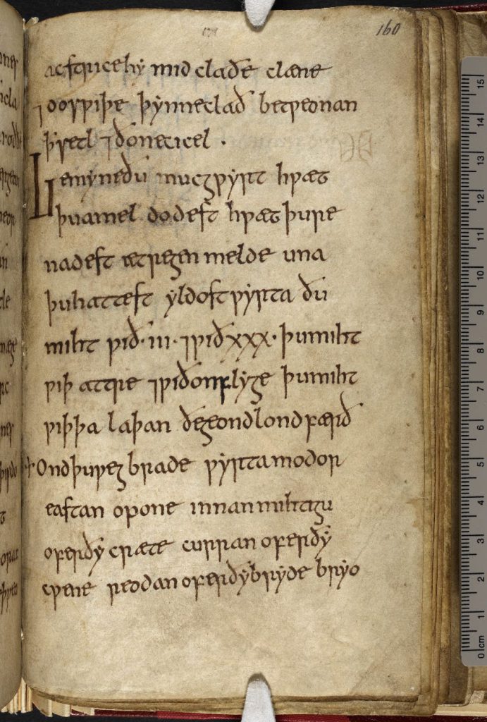 Handschrift des Nine Herbs Charm mit Erwähnung des Gemeinen Beifußes (Artemisia vulgaris) als Heilpflanze.