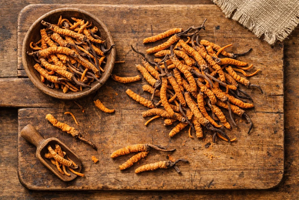 Getrocknete Fruchtkörper des Cordyceps militaris als Vitalpilz auf einem rustikalen Holzbrett.