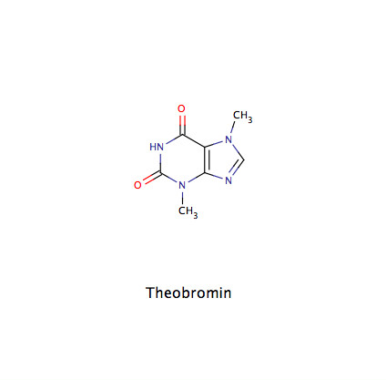 Strukturformel von Theobromin, dem wichtigsten Methylxanthin in Kakao (Theobroma cacao)