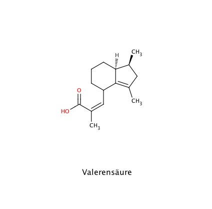 Chemische Strukturformel der Valerensäure, eines charakteristischen Inhaltsstoffs der Baldrianwurzel (Valeriana officinalis).