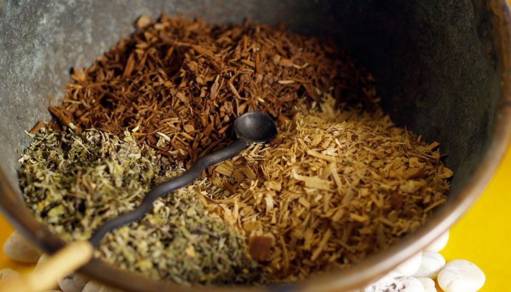 Yohimbe-Rinde (Pausinystalia johimbe) als zerkleinertes Pflanzenmaterial – traditionelle afrikanische Baumrinde mit dem Indolalkaloid Yohimbin