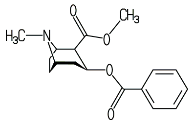 Chemische Strukturformel von Kokain, einem natürlich vorkommenden Tropanalkaloid der Kokapflanze (Erythroxylum coca)