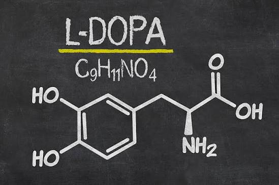 L-Dopa (Levodopa) mit chemischer Strukturformel und Summenformel C9H11NO4