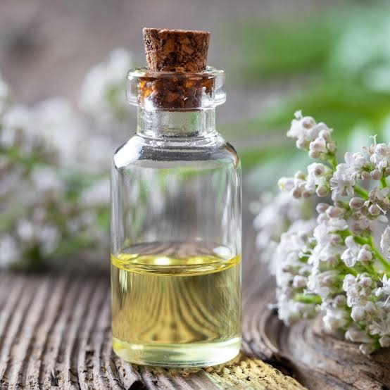 Baldrian-Tinktur in einer Glasflasche neben den weiß-rosa Blüten des Echten Baldrians (Valeriana officinalis).