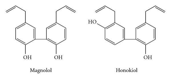 Chemische Strukturformeln von Magnolol und Honokiol, den wichtigsten Neolignanen der Magnolienrinde (Magnolia officinalis)
