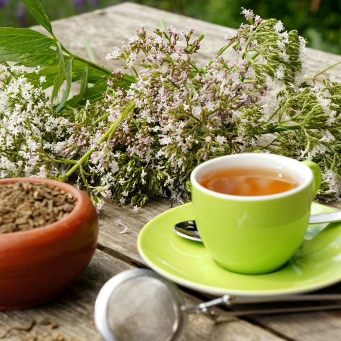 Baldriantee mit getrockneter Baldrianwurzel und Blüten des Echten Baldrians (Valeriana officinalis).